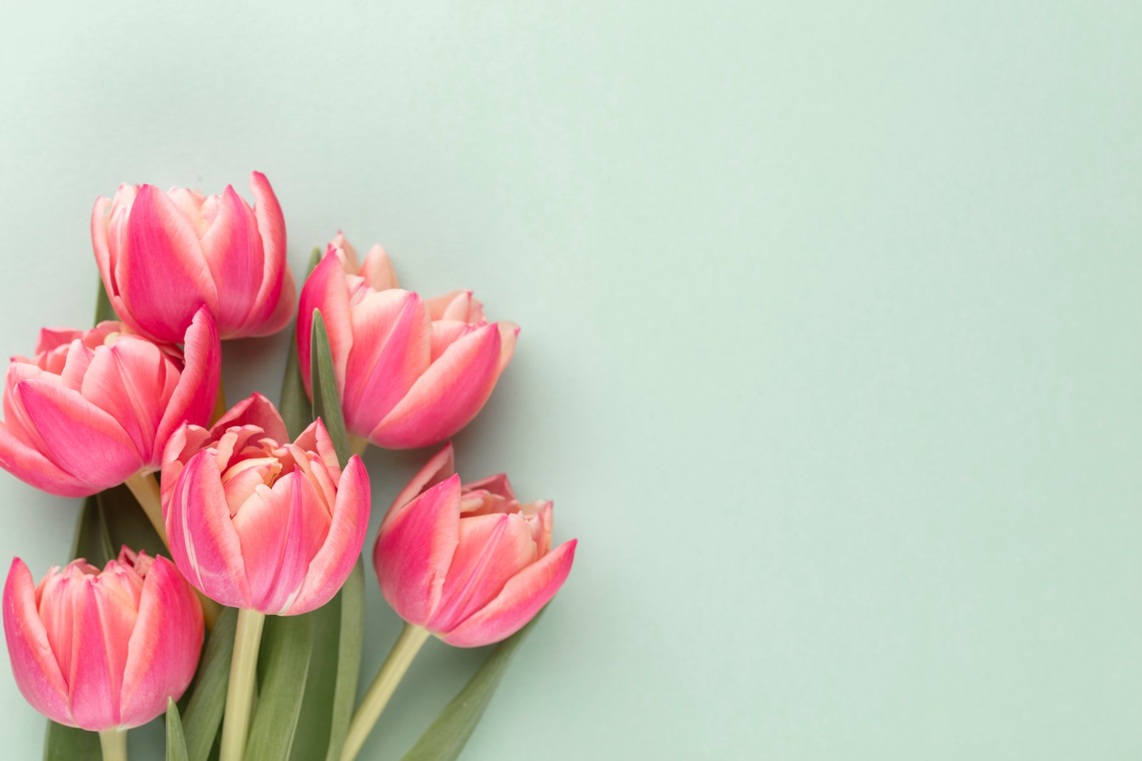 Flowers bouquet